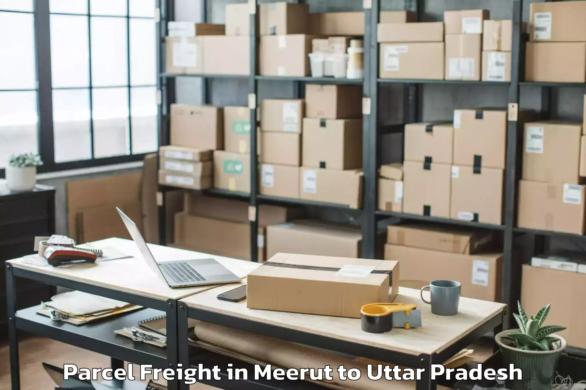 Top Meerut to Mainpuri Parcel Freight Available